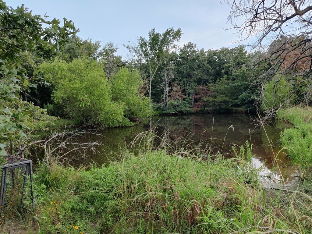 40.69 acres in ANDERSON County - photo 6