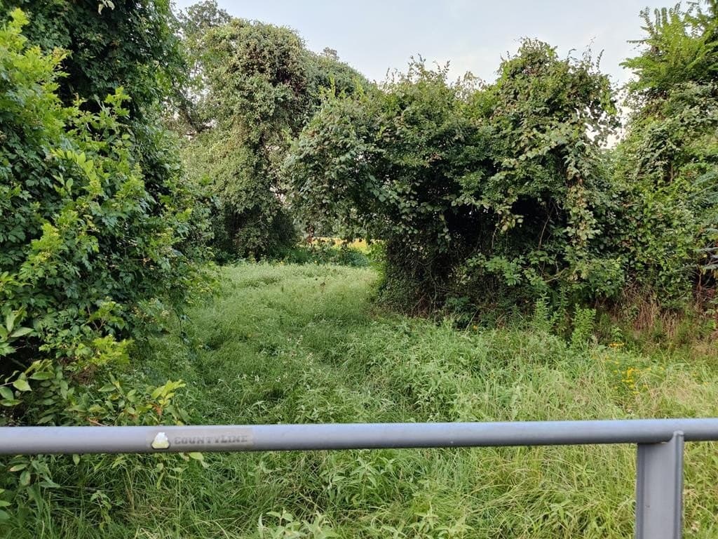 40.69 acres in ANDERSON County - photo 17