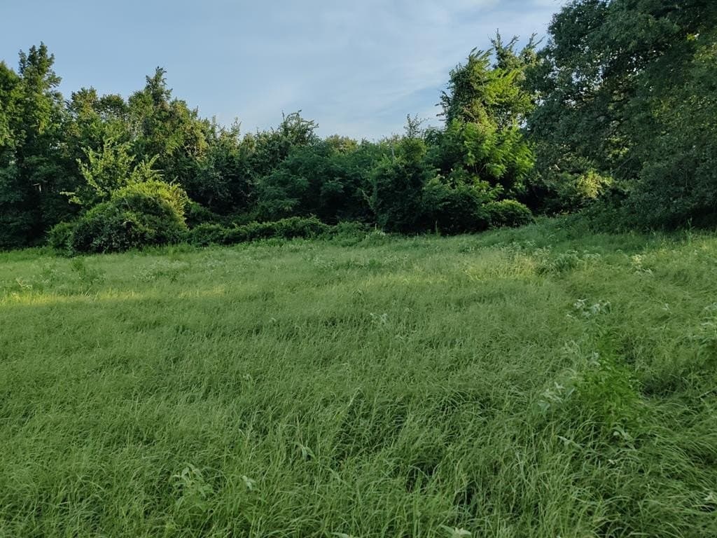 40.69 acres in ANDERSON County - photo 21