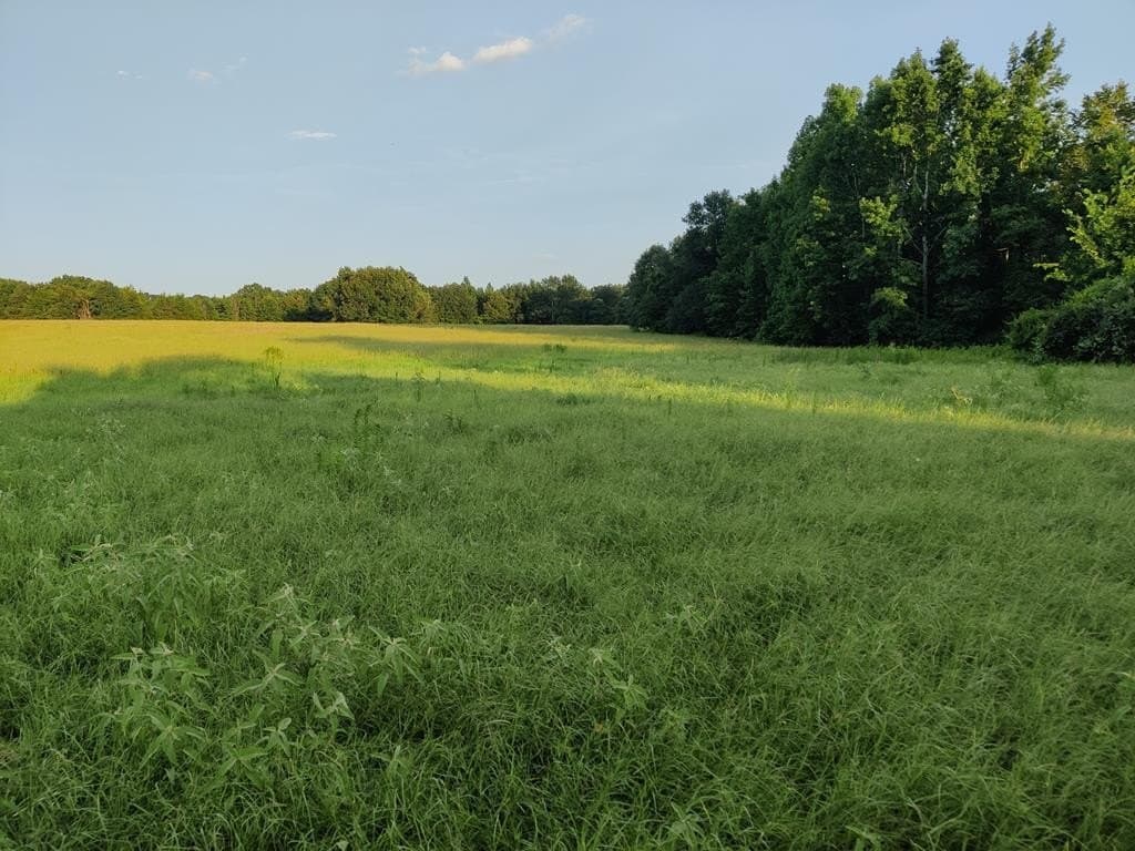 40.69 acres in ANDERSON County - photo 22