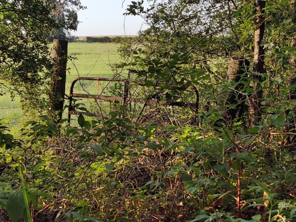 40.69 acres in ANDERSON County - photo 23