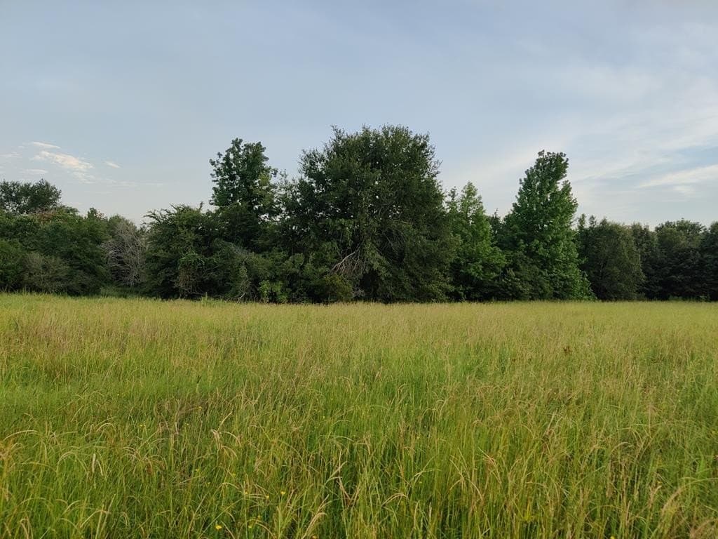 40.69 acres in ANDERSON County - photo 31