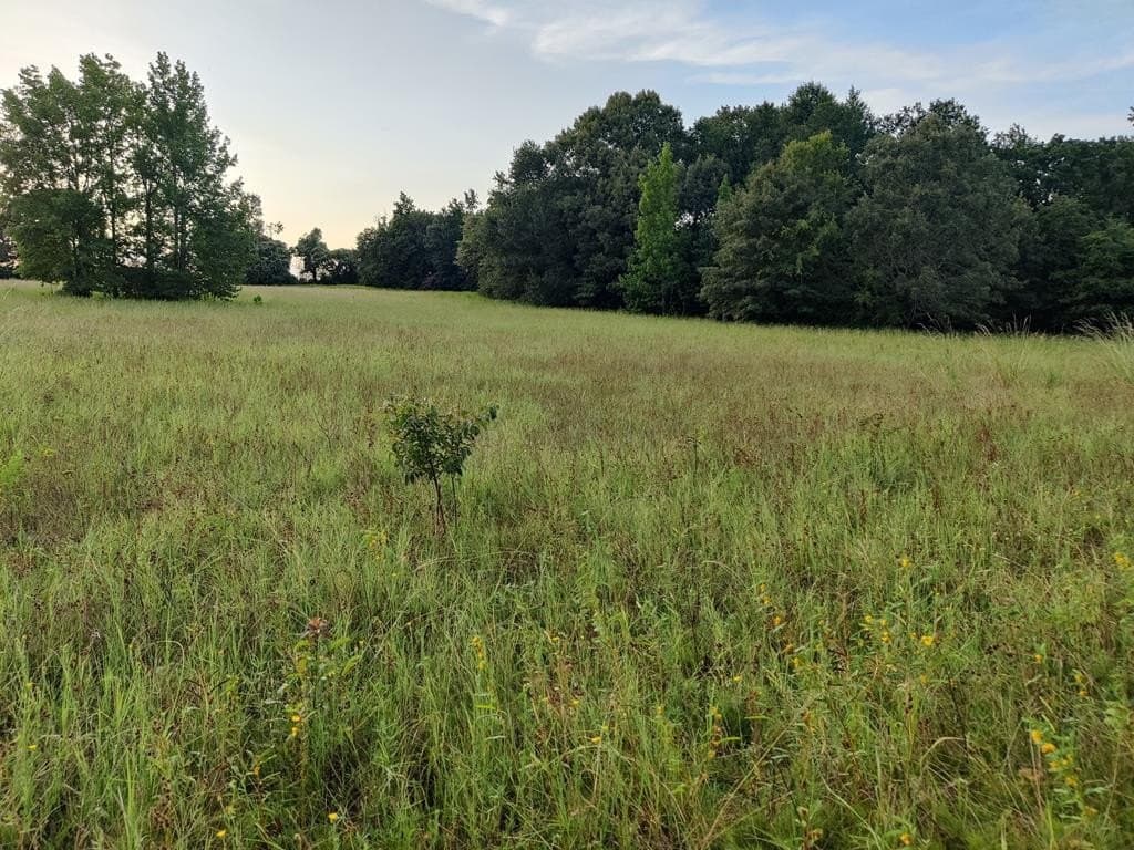 40.69 acres in ANDERSON County - photo 30