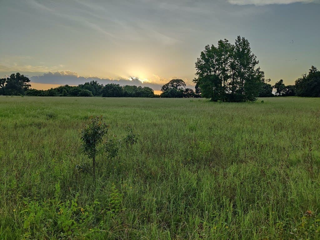 40.69 acres in ANDERSON County - photo 13