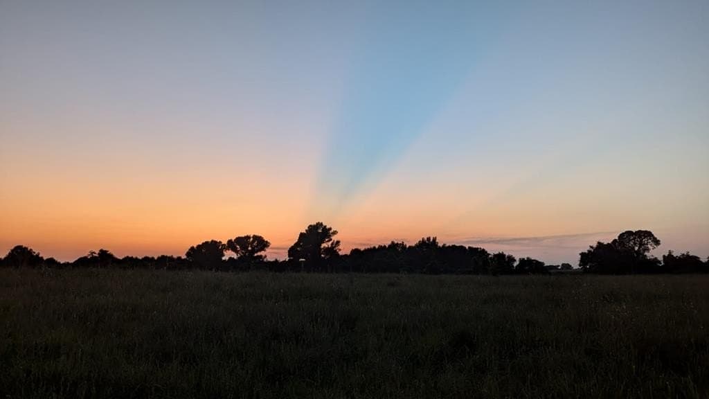 40.69 acres in ANDERSON County - photo 16