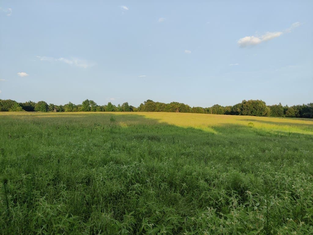 40.69 acres in ANDERSON County - photo 9