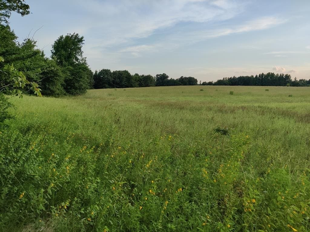 40.69 acres in ANDERSON County - photo 27