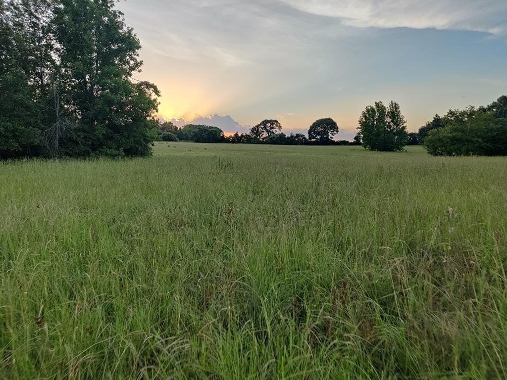 40.69 acres in ANDERSON County - photo 2