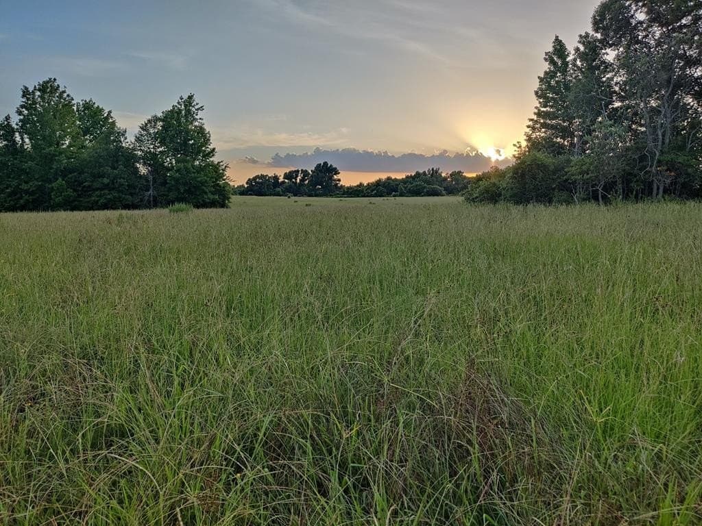 40.69 acres in ANDERSON County - photo 32