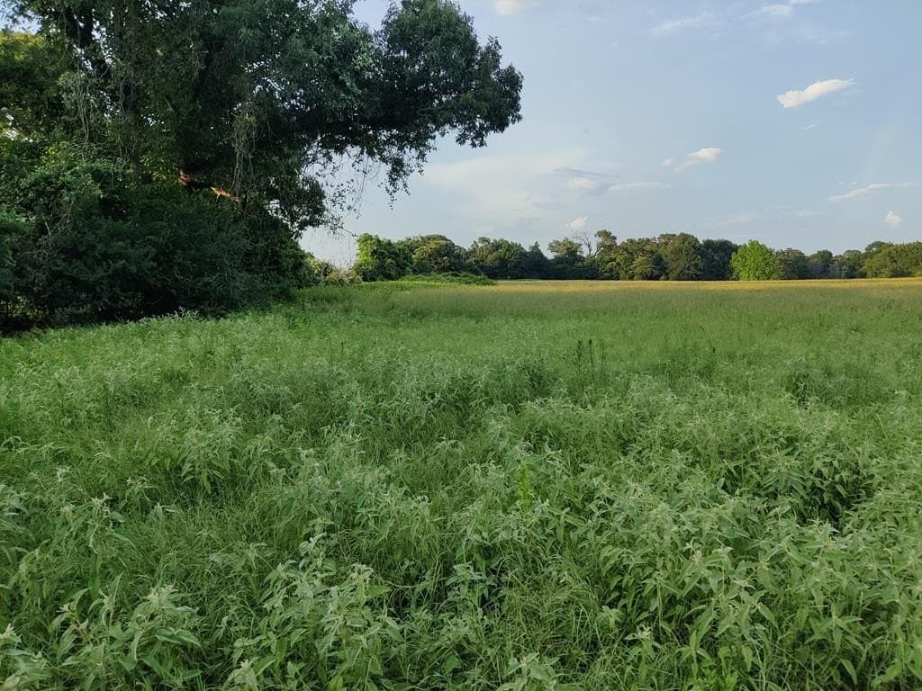 40.69 acres in ANDERSON County - photo 25