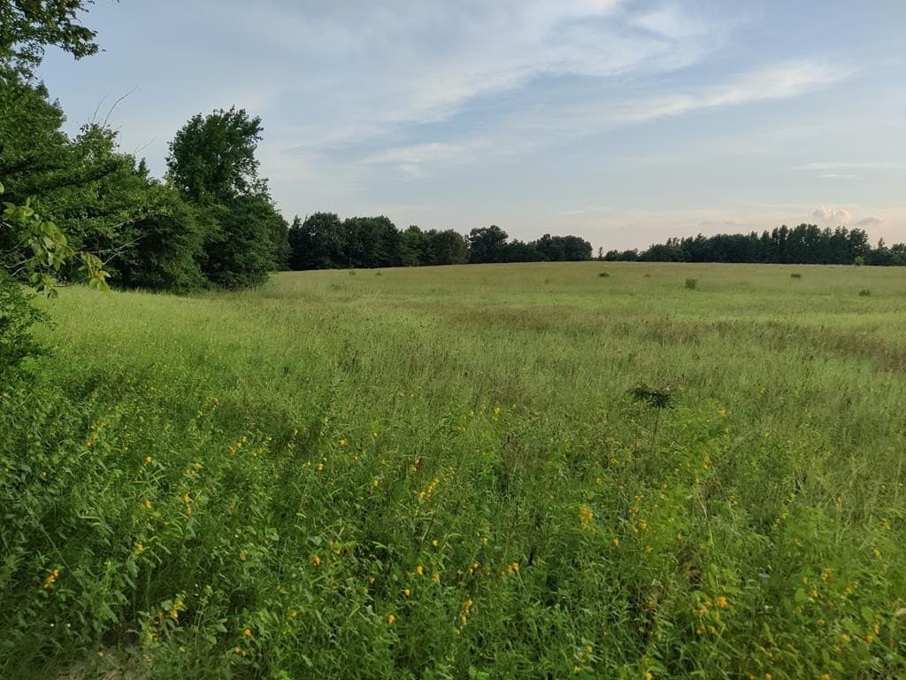 40.69 acres in ANDERSON County - photo 29