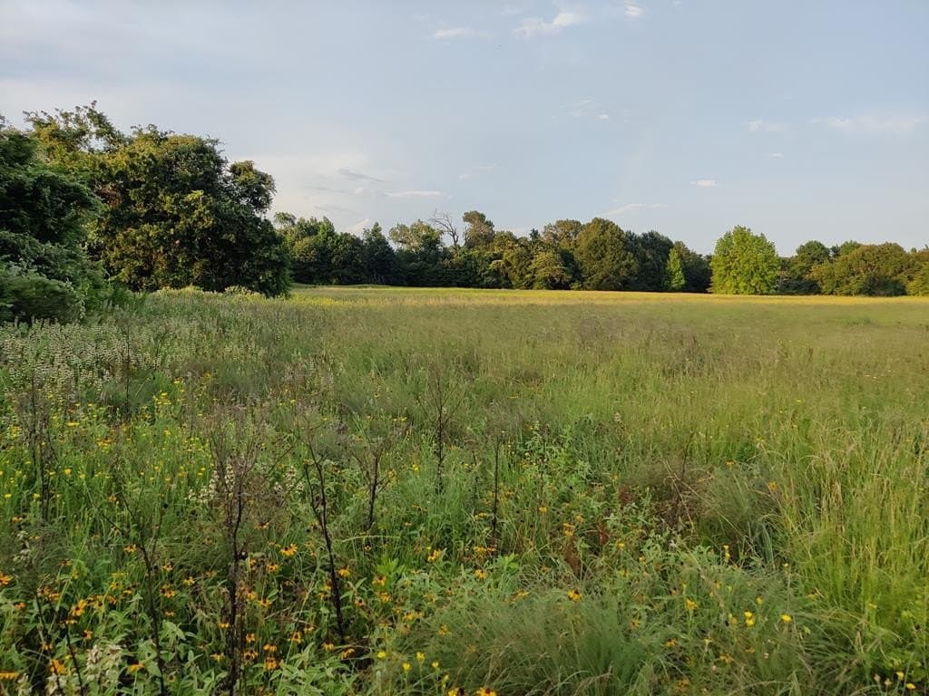 40.69 acres in ANDERSON County - photo 26