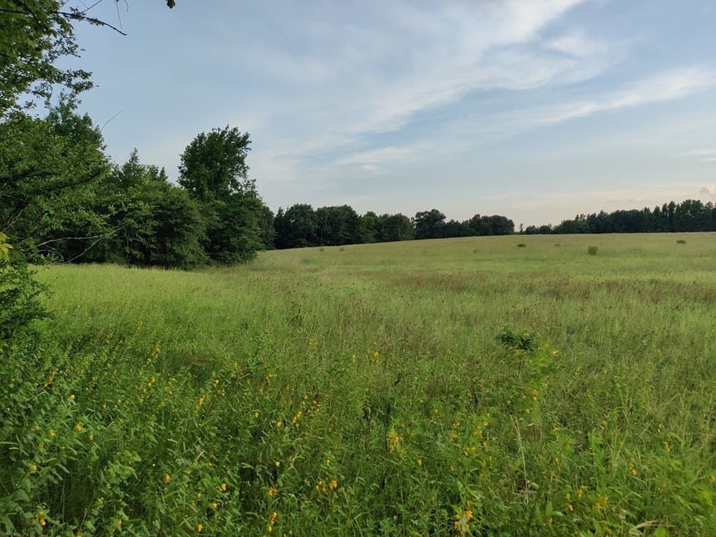 40.69 acres in ANDERSON County - photo 12