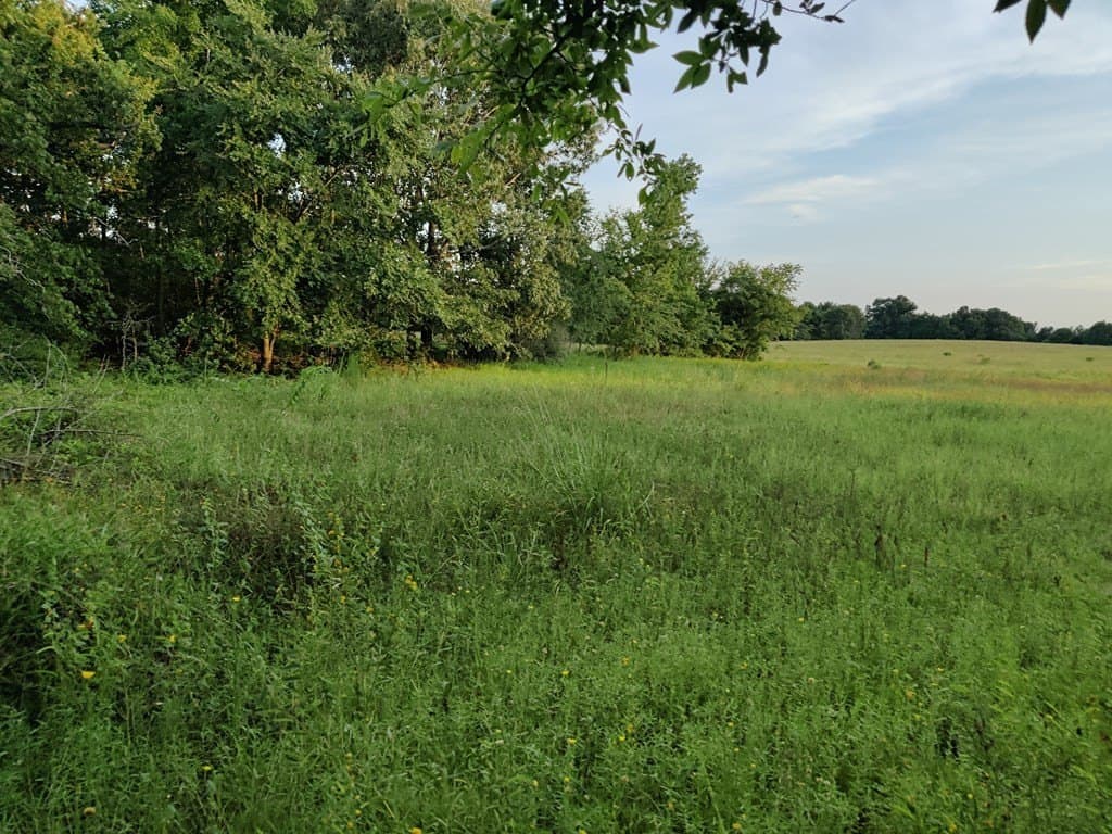 40.69 acres in ANDERSON County - photo 7