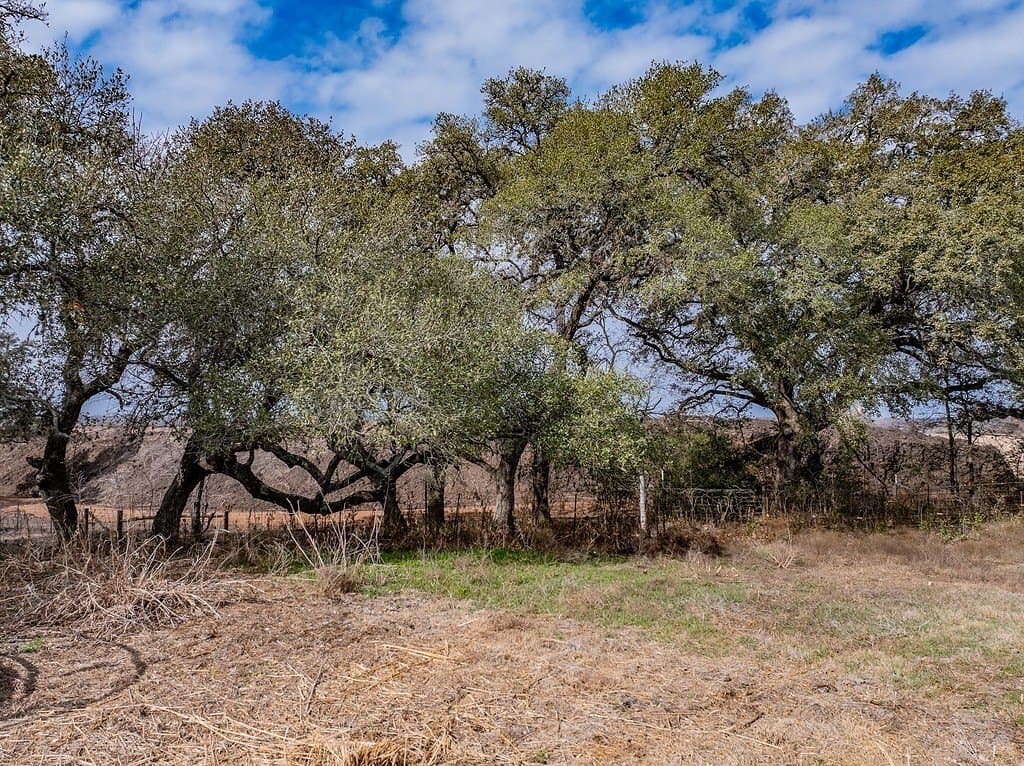 20 acres in Fayette County - photo 3