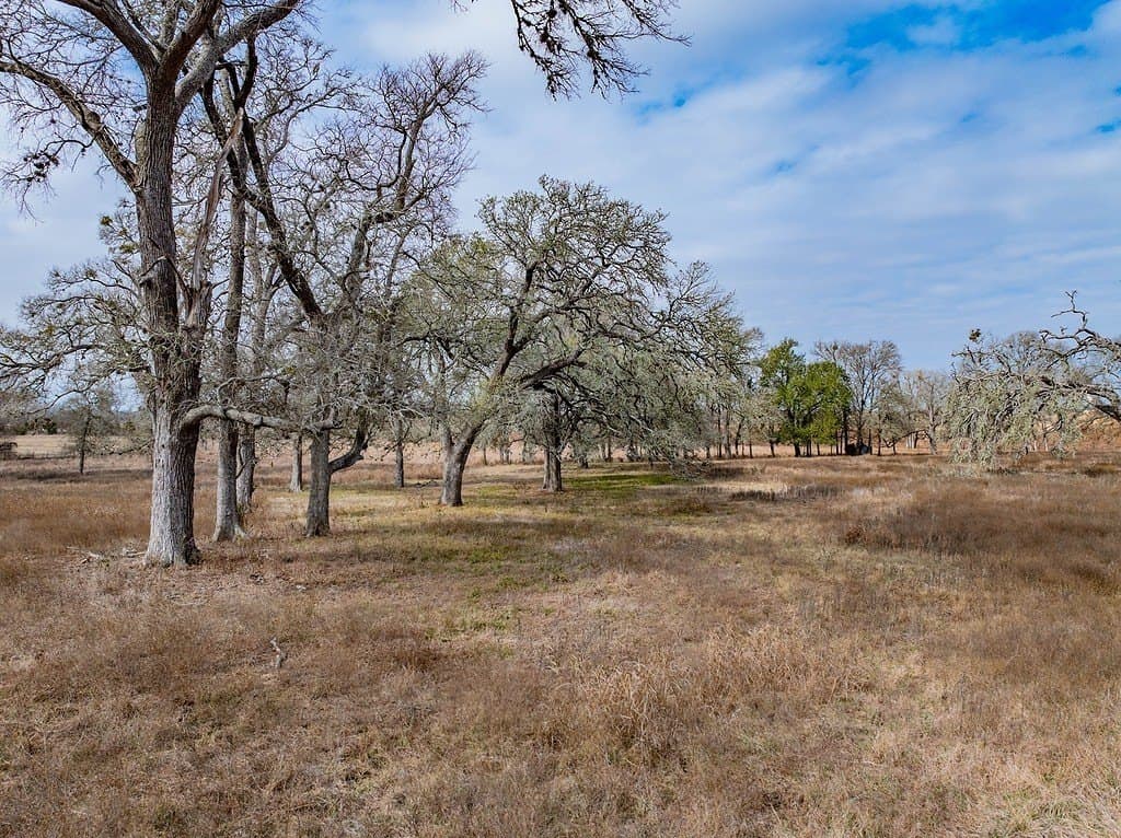20 acres in Fayette County - photo 23