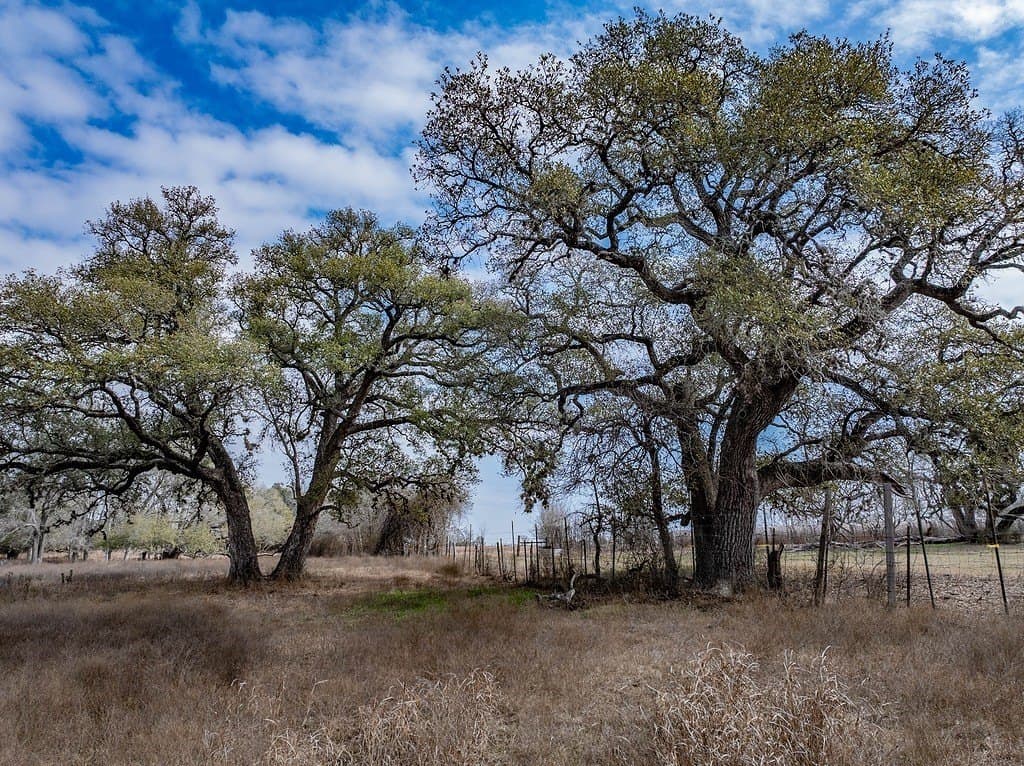 20 acres in Fayette County - photo 22