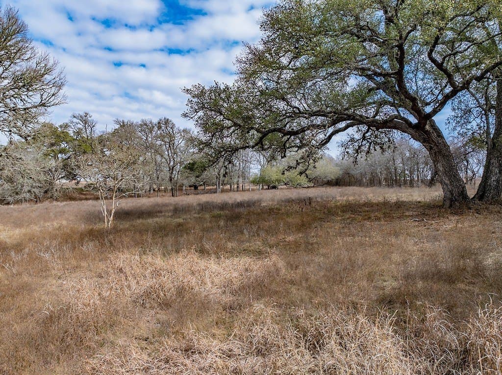 20 acres in Fayette County - photo 24