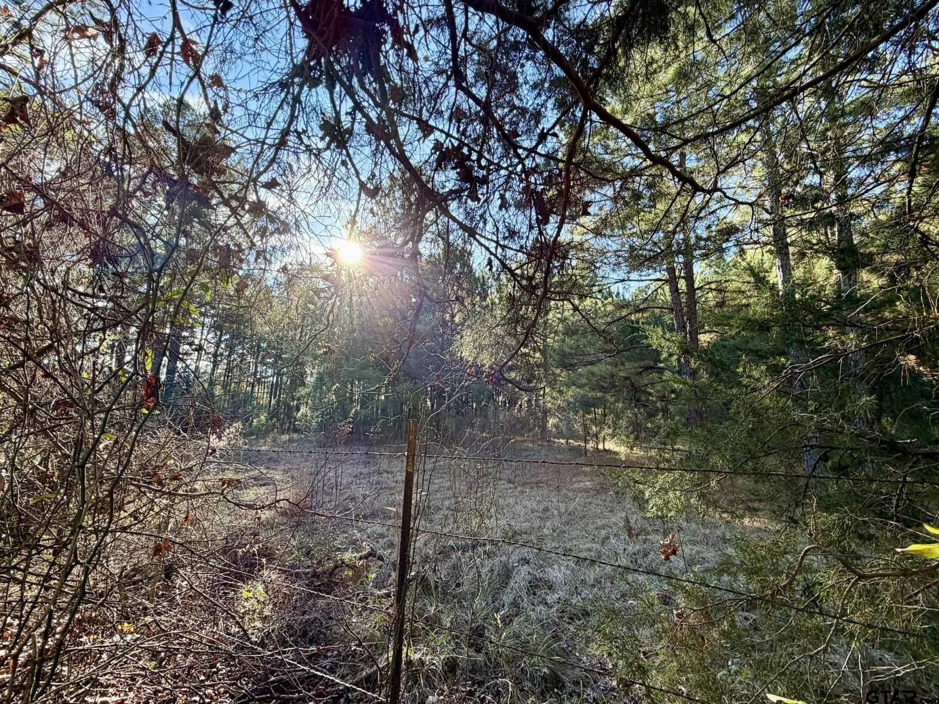 12.21 acres in Harrison County - photo 4
