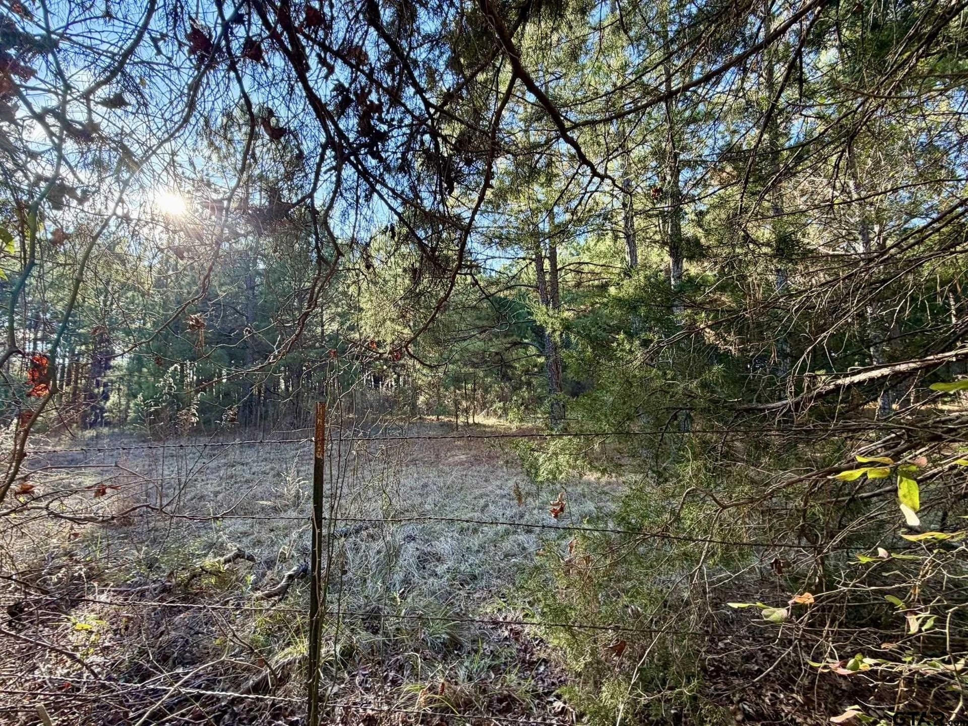 12.21 acres in Harrison County - photo 5