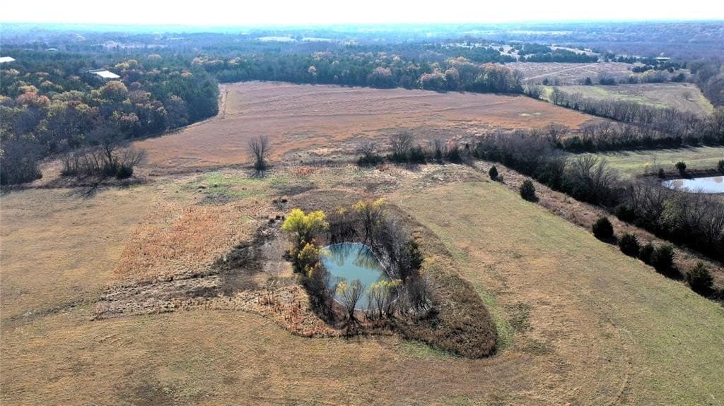 46 acres in Grayson County - photo 13