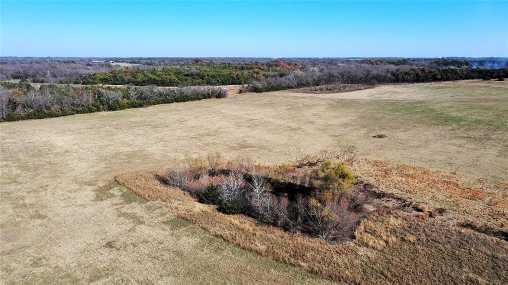 46 acres in Grayson County - photo 9