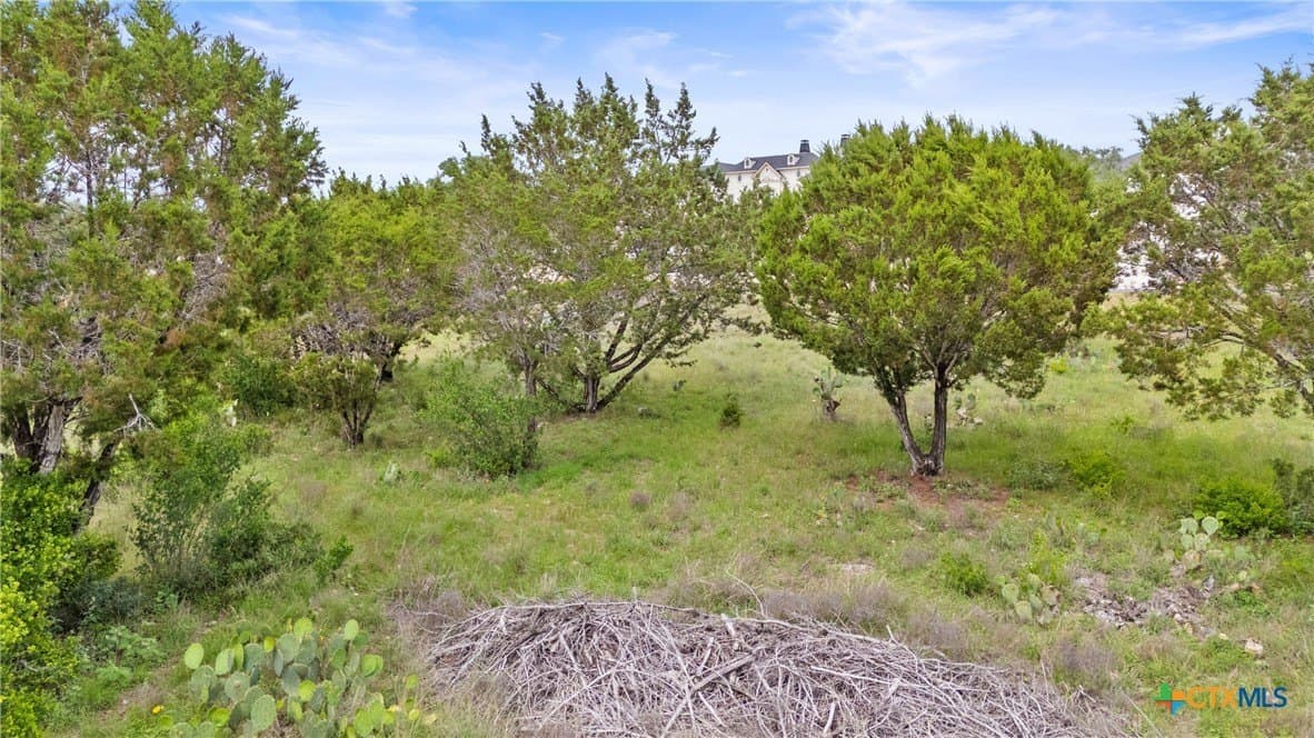 1.16 acres in Comal County - photo 7