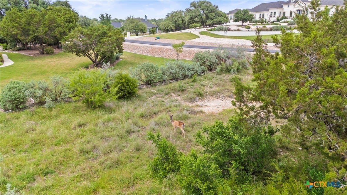1.16 acres in Comal County - photo 15