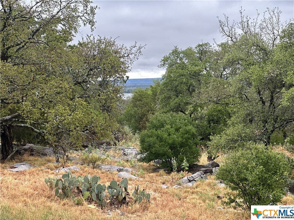 0.25 acres in Texas County - photo 12