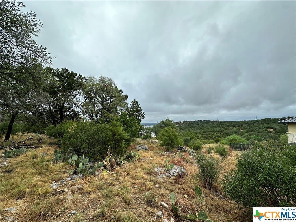 0.25 acres in Texas County - photo 6