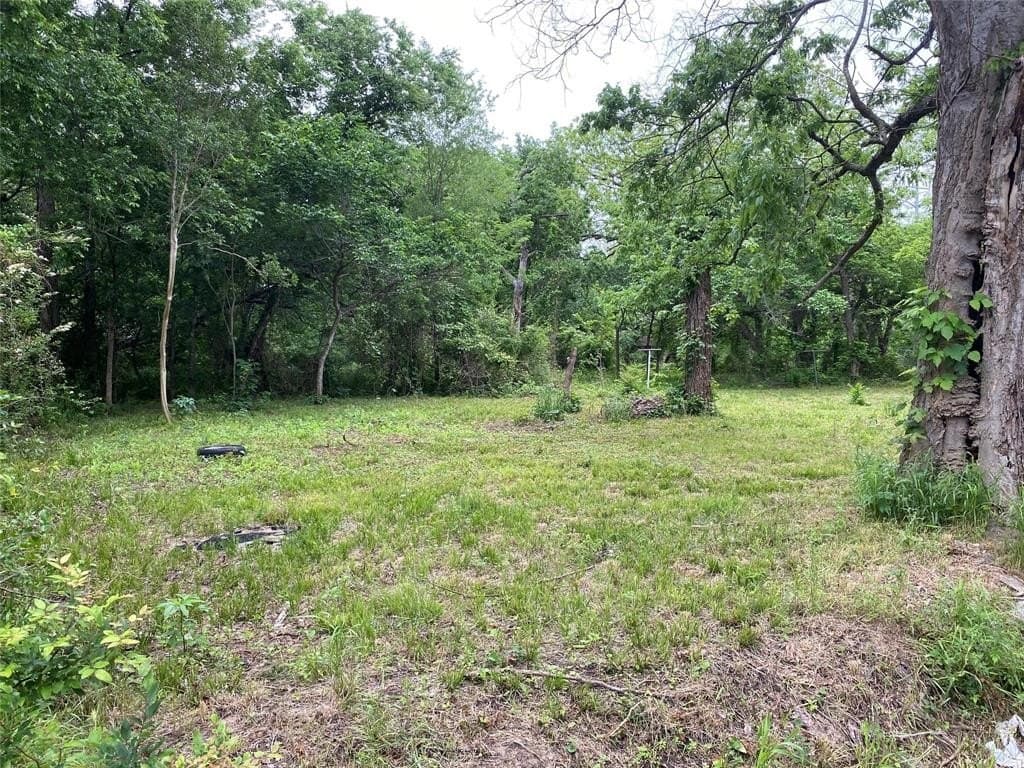 0.23 acres in Fannin County - photo 6