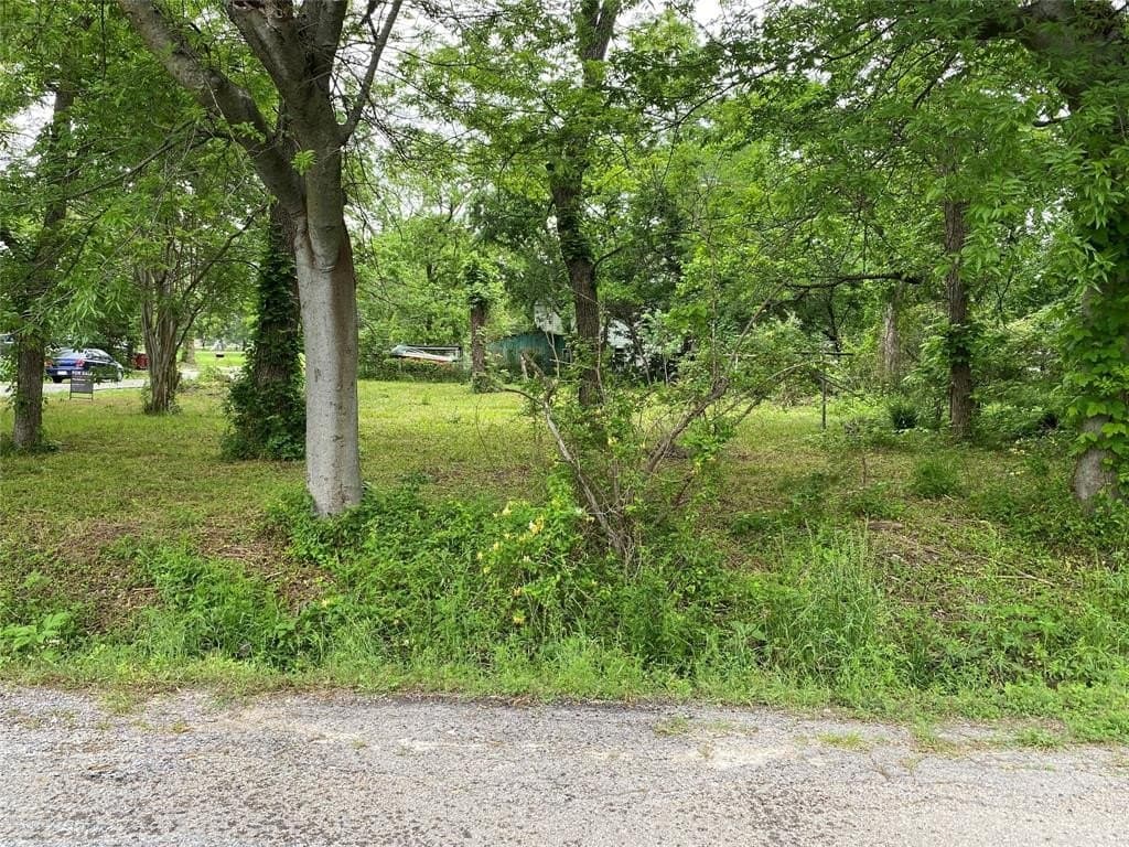 0.23 acres in Fannin County - photo 4