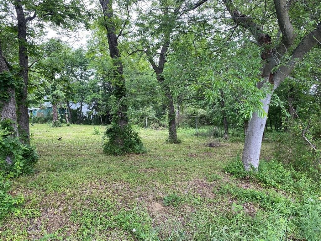 0.23 acres in Fannin County - photo 7