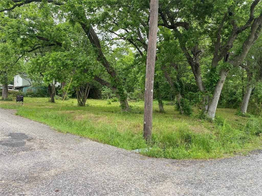 0.23 acres in Fannin County - photo 3