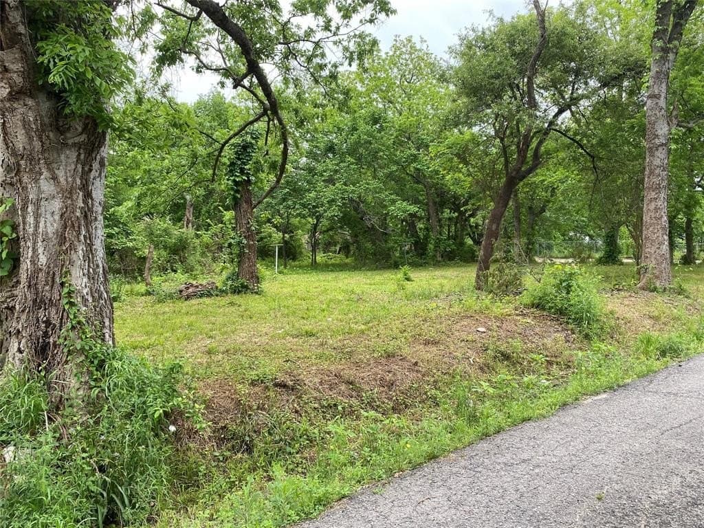 0.23 acres in Fannin County - photo 5
