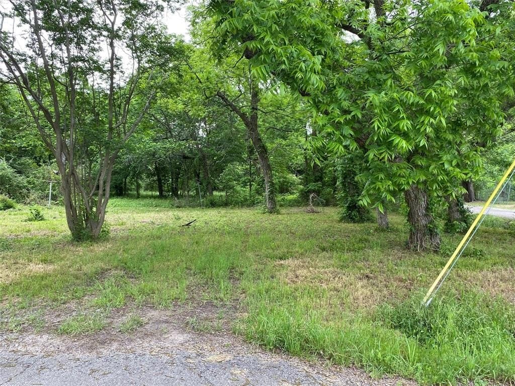 0.23 acres in Fannin County - photo 2