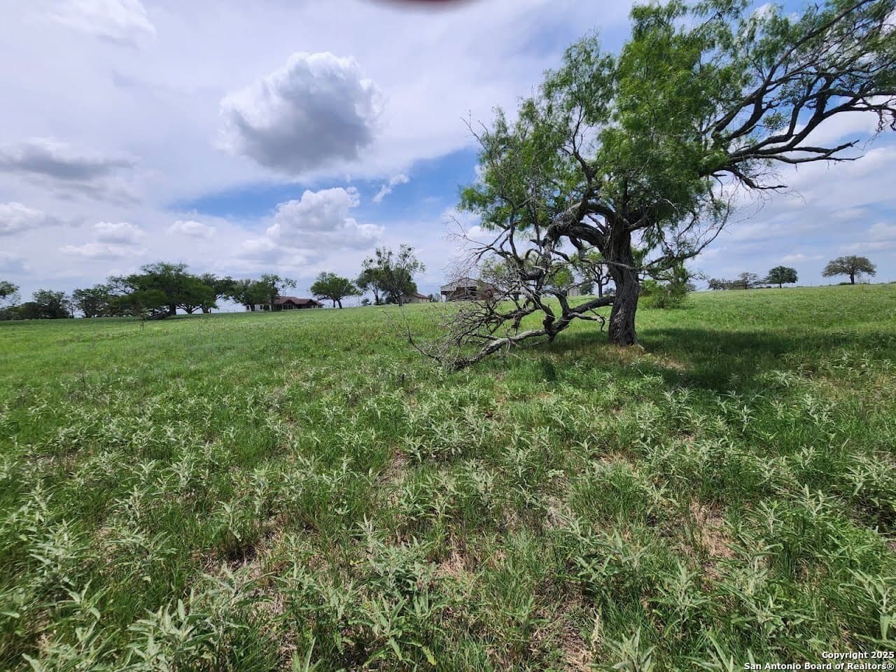 28 acres in Guadalupe County - photo 17