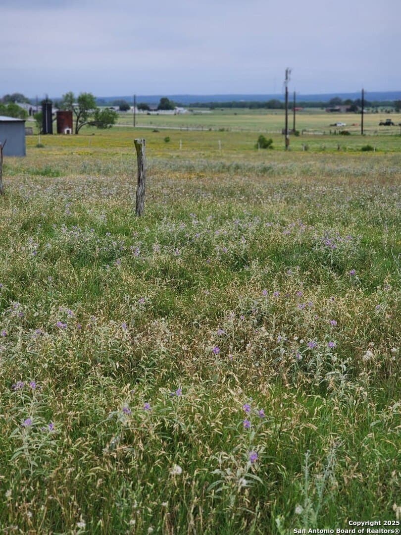 28 acres in Guadalupe County - photo 13