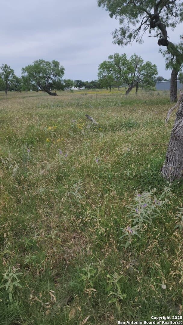28 acres in Guadalupe County - photo 12