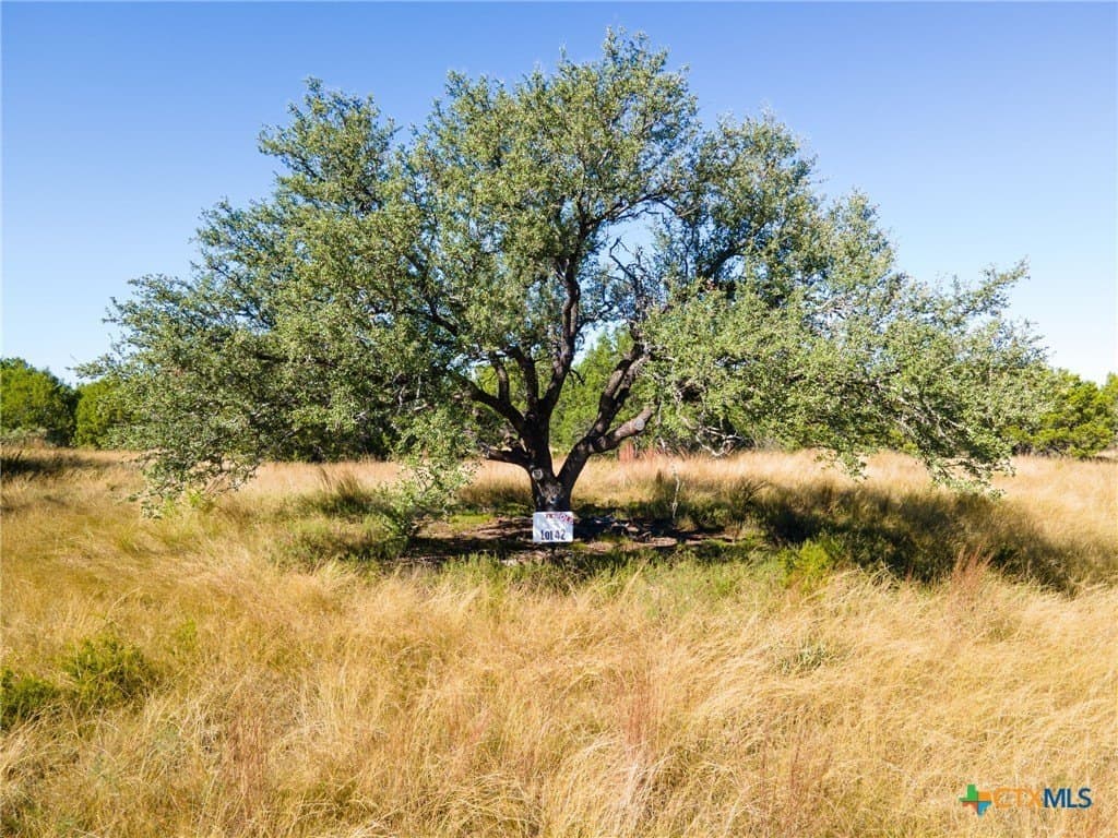 10.01 acres in Coryell County - photo 3