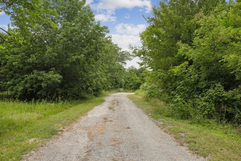 5 acres in Collin County - photo 12