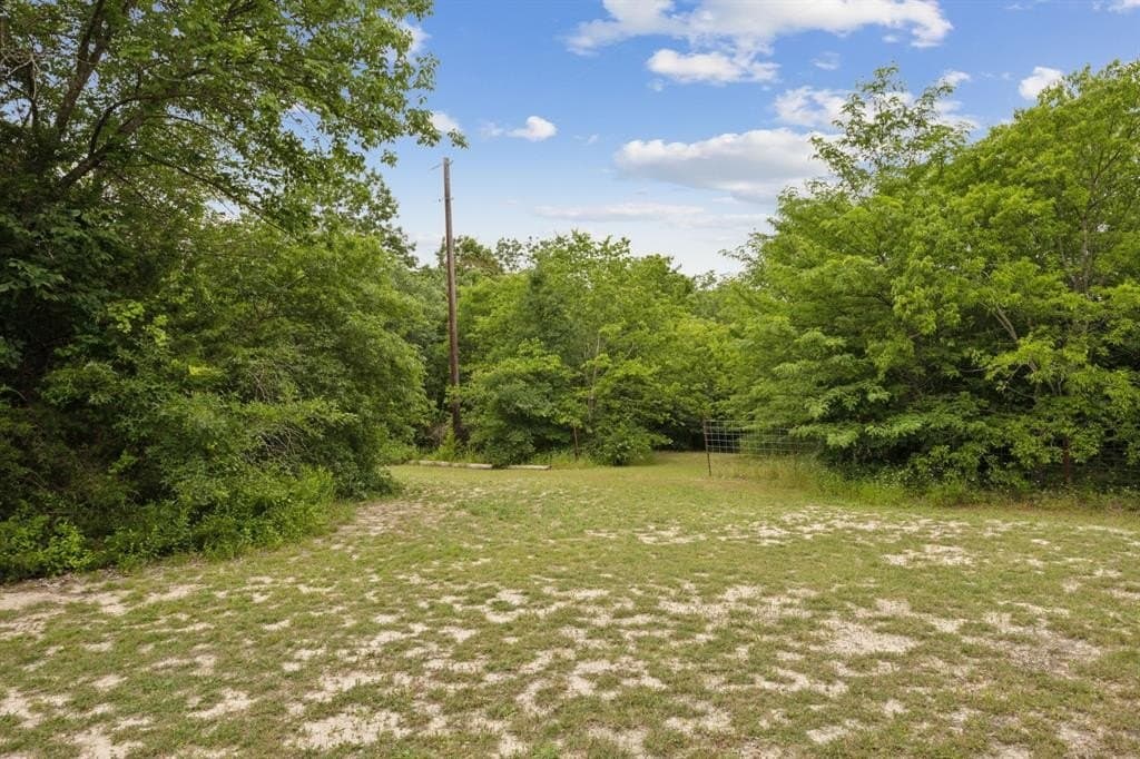 5 acres in Collin County - photo 6