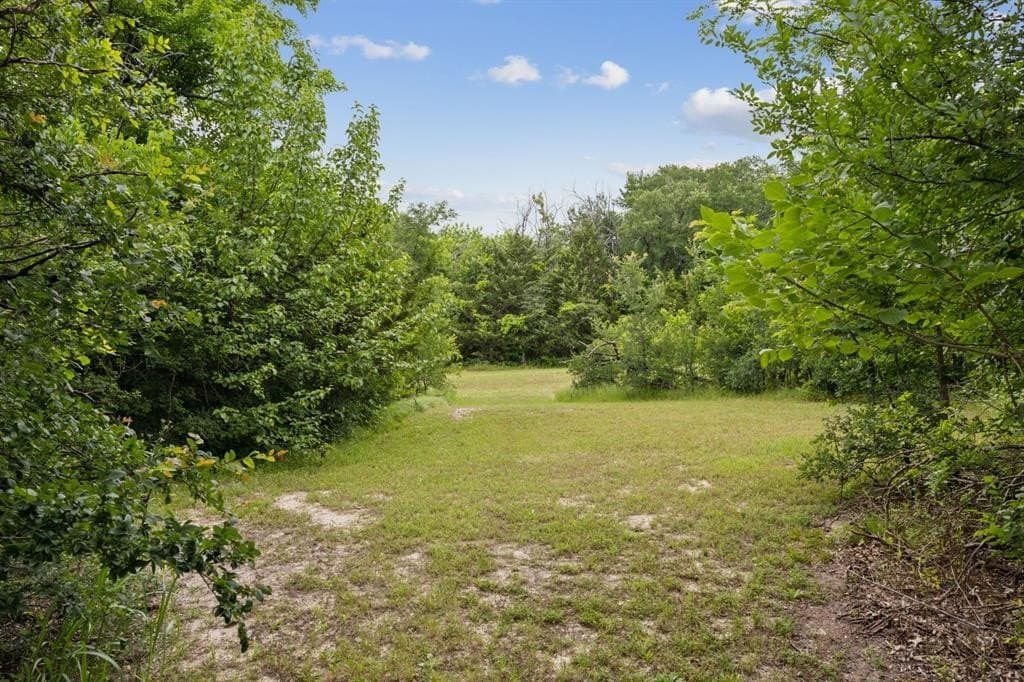 5 acres in Collin County - photo 7