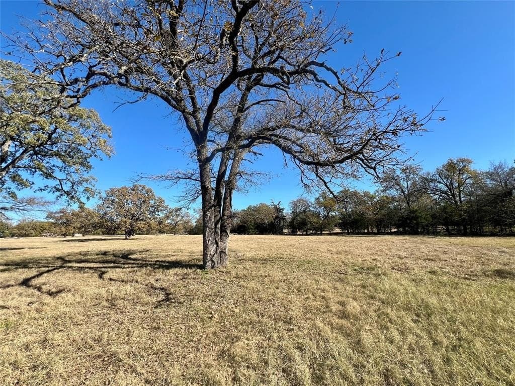 30.4 acres in Henderson County - photo 6