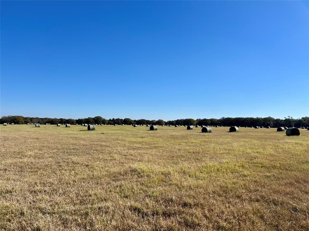 30.4 acres in Henderson County - photo 8