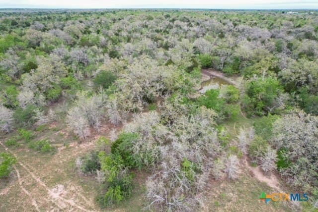 233.59 acres in Gonzales County - photo 21