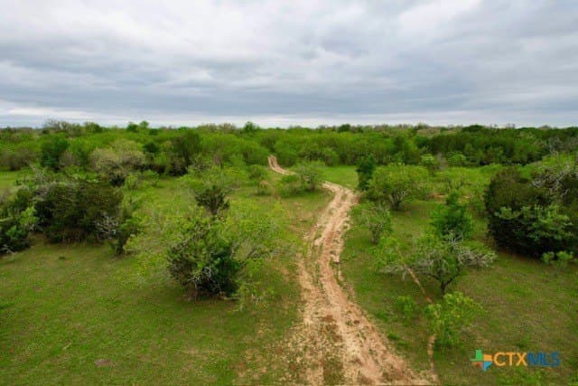233.59 acres in Gonzales County - photo 18
