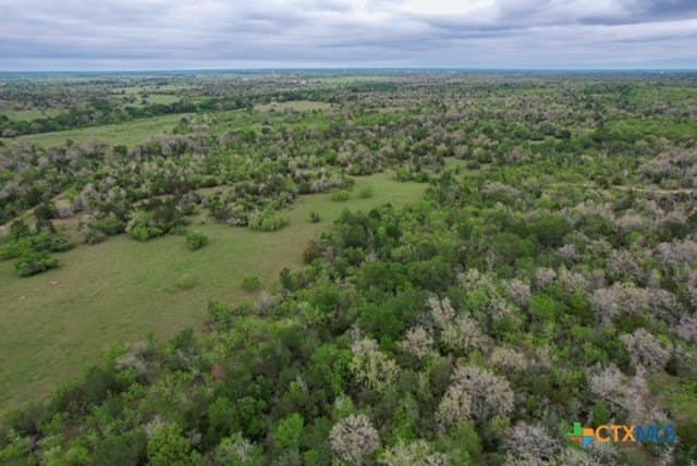 233.59 acres in Gonzales County - photo 22