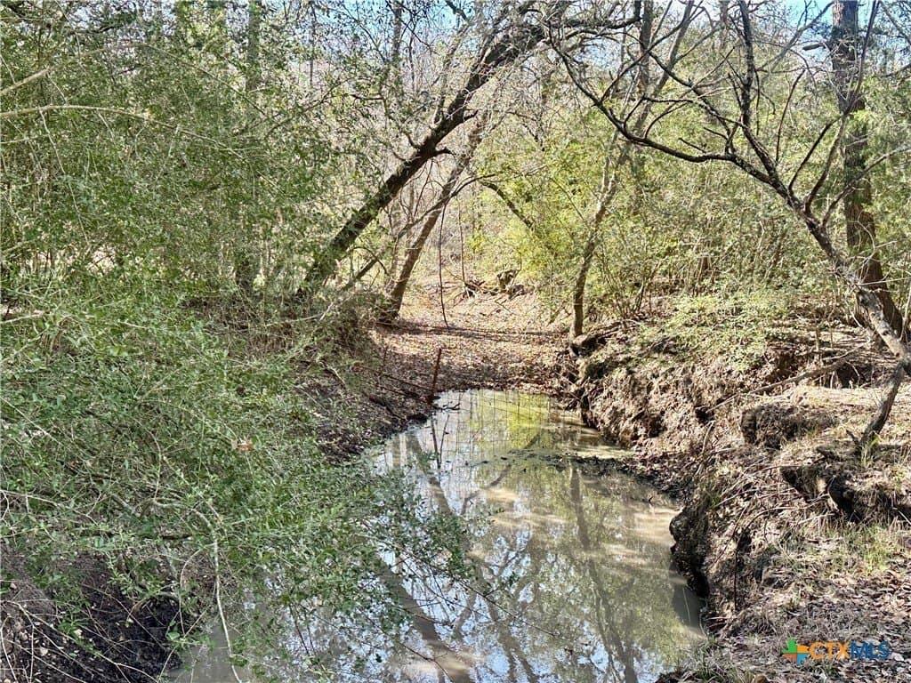 233.59 acres in Gonzales County - photo 9
