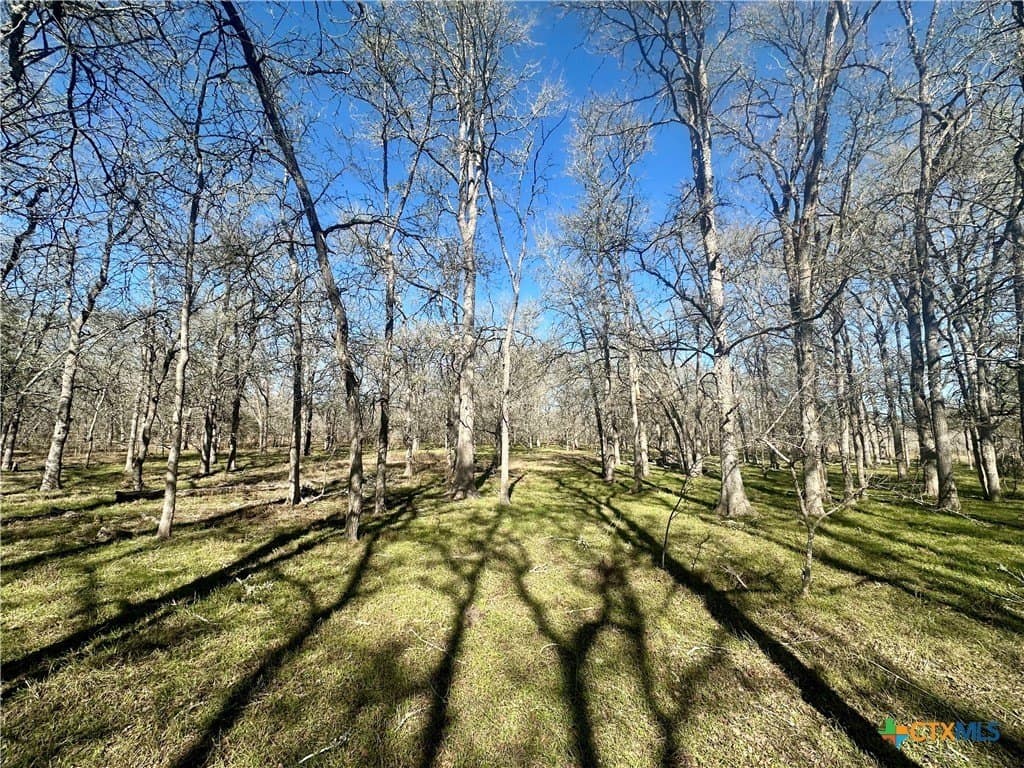 233.59 acres in Gonzales County - photo 8